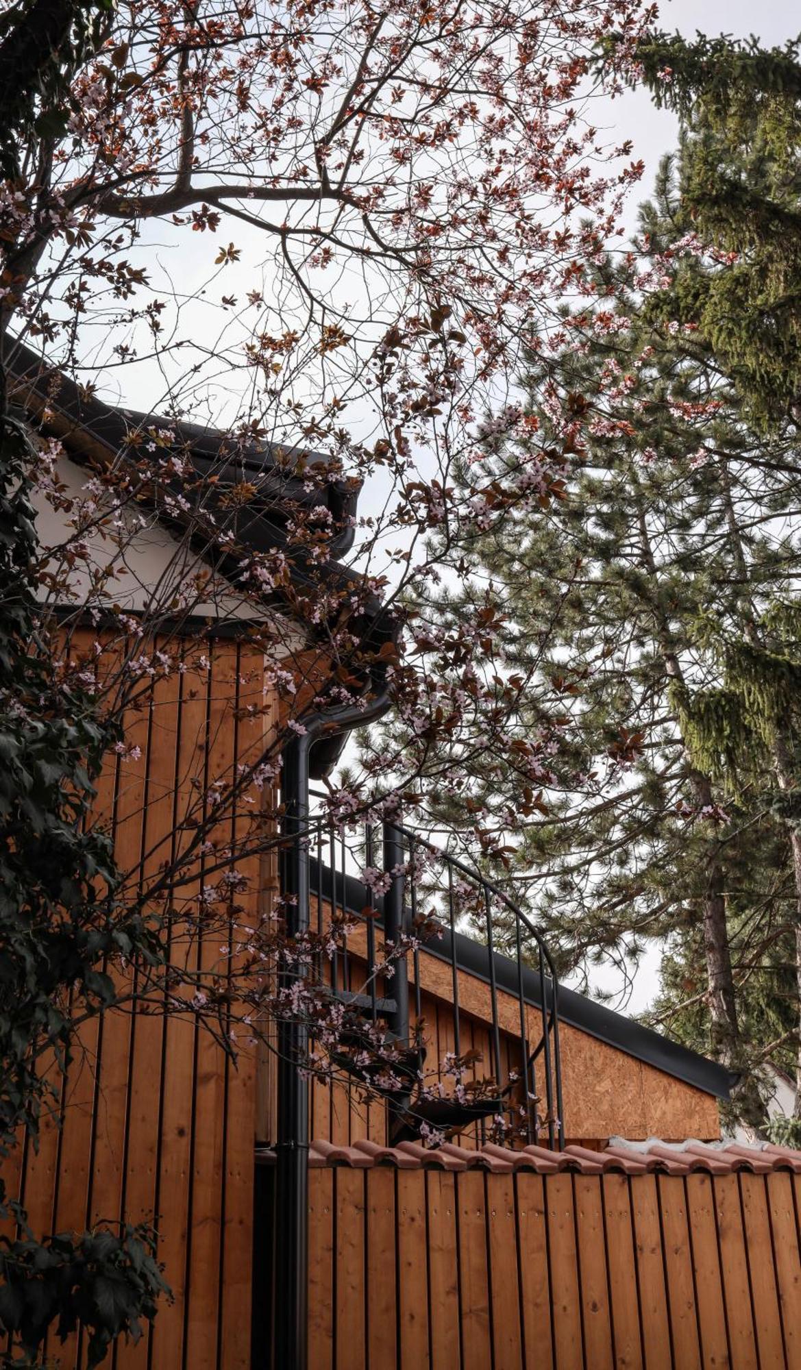 Golden Golem Hotel & Spa 프라하 외부 사진